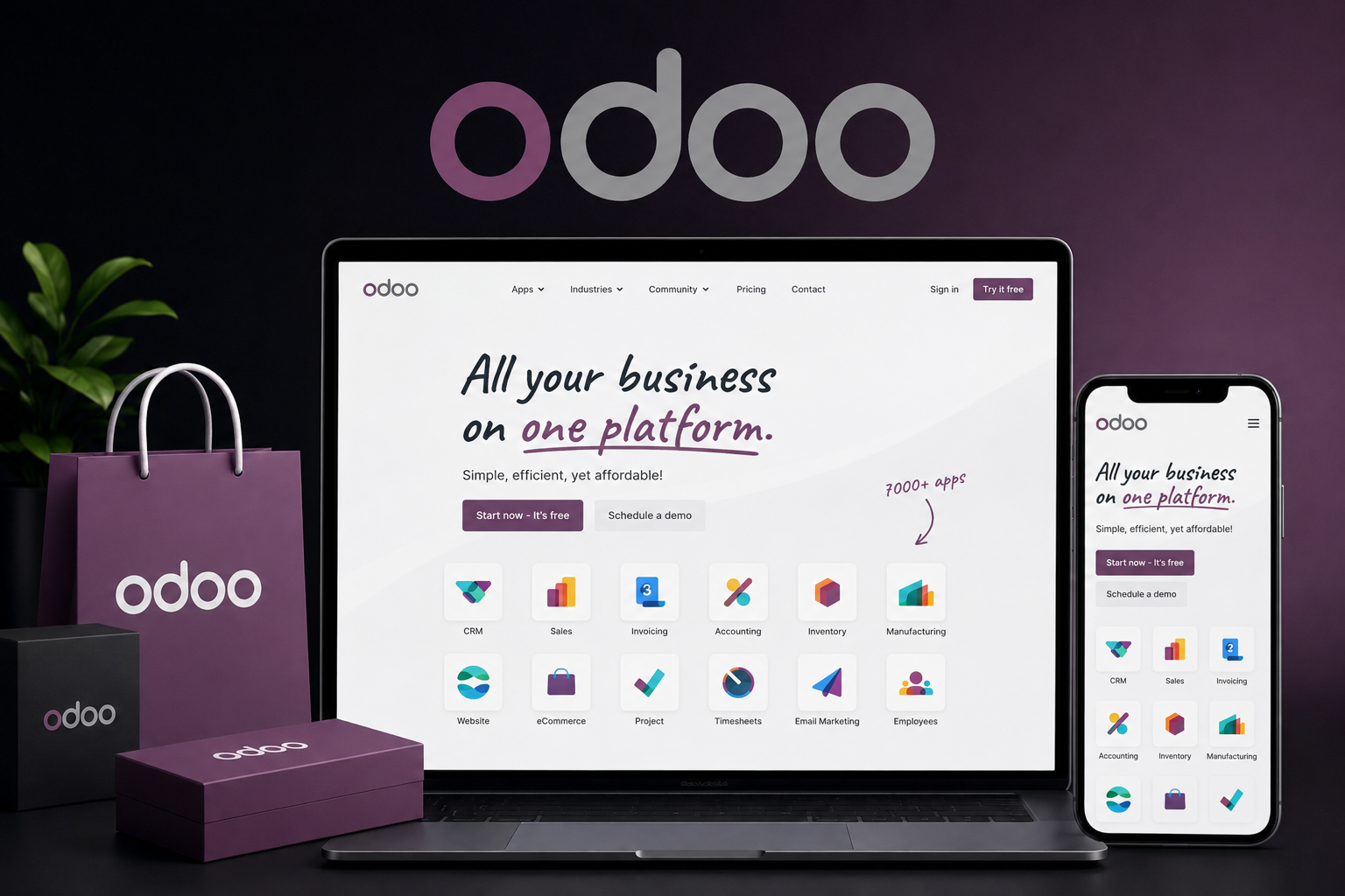 Odoo ERP System